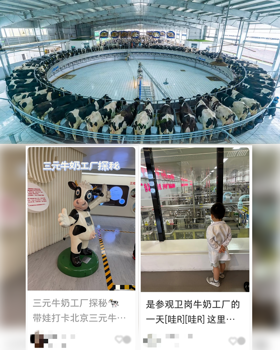 中国家庭花钱让娃“送外卖”！暑假去“5A大厂”科技遛娃，太香了 - 6