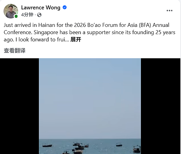新加坡总理开启4天访华行程，刚落地海南就释放重磅信号（组图） - 3