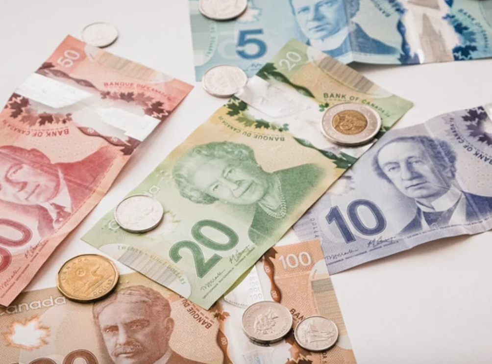 谁达标?加拿大人平均身家$107万,真正赚钱竟不是房子(组图) - 2