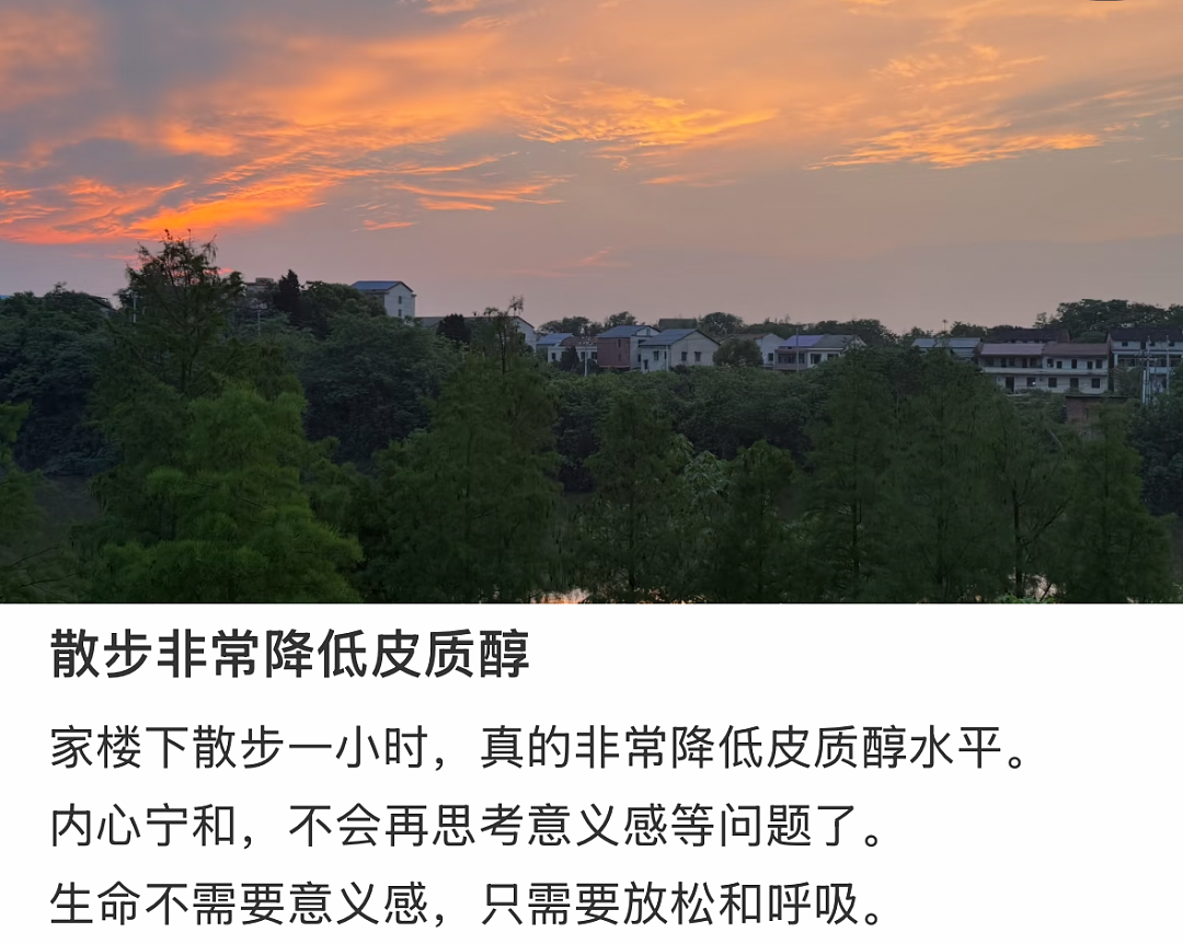 “不吃压力”成打工人新晋顶配人设,皮质醇到底该咋降(组图) - 11