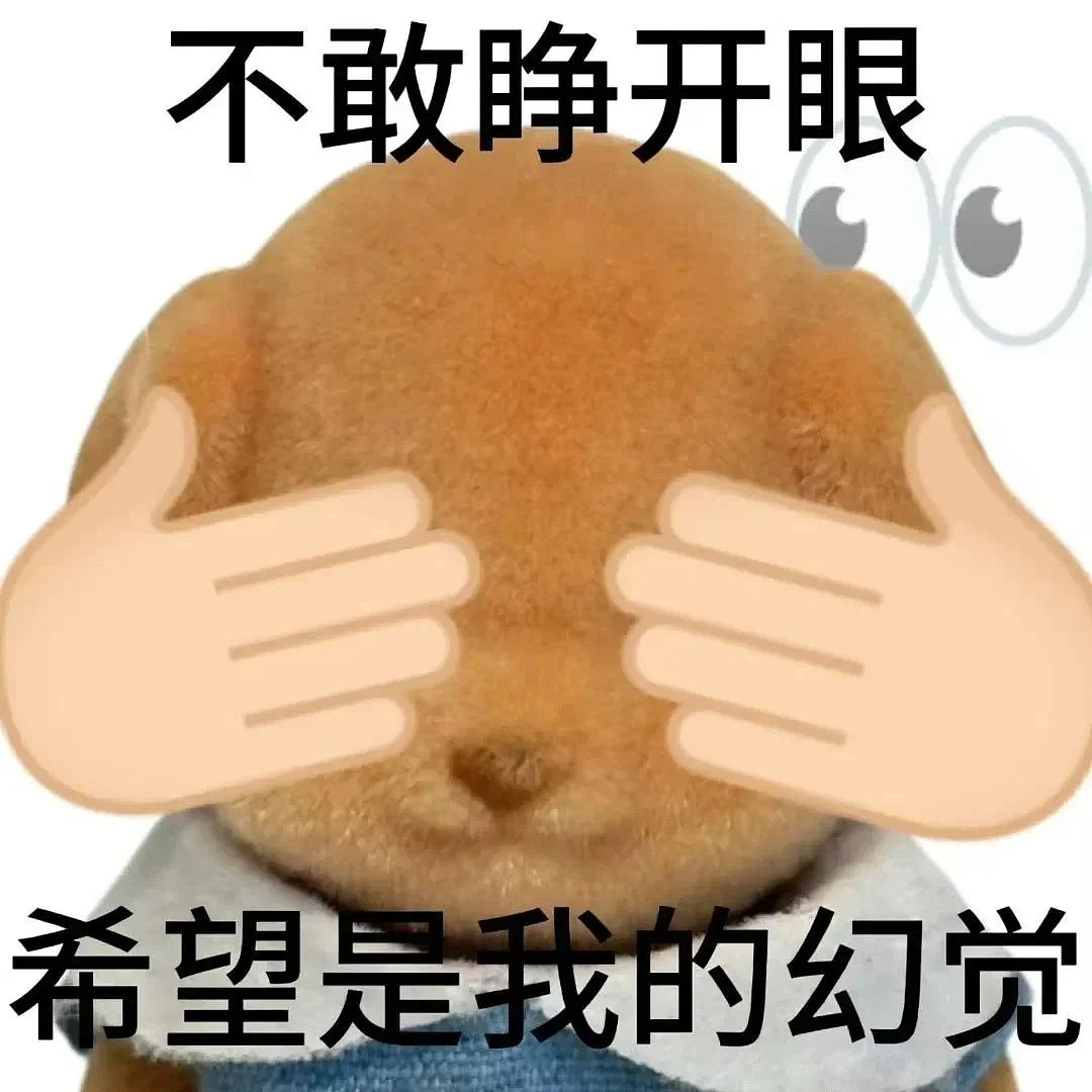 “中国留学生吵架战斗力有多强?” 哈哈哈包让老外破防的(组图) - 14