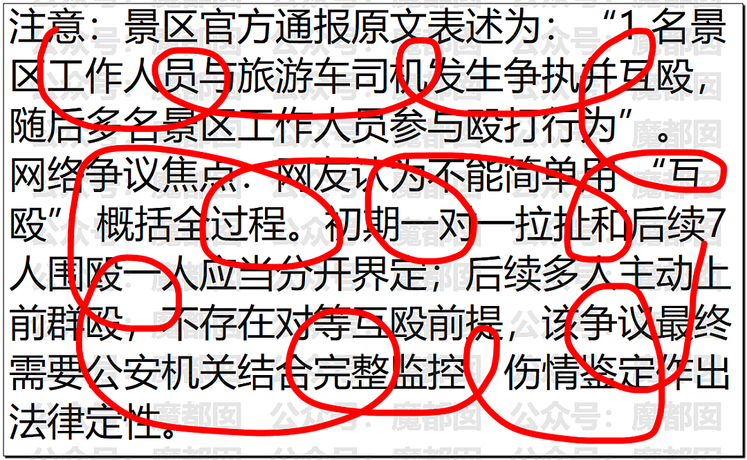 新疆赛里木湖景区曝围殴事件!7名工作人员殴打司机,视频曝光引热议(组图) - 10