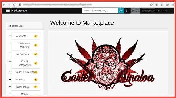 这夫妻俩生了11个还嫌不够，又领养5个！为了一大家子永不分开，他悄悄打开了暗网… - 1