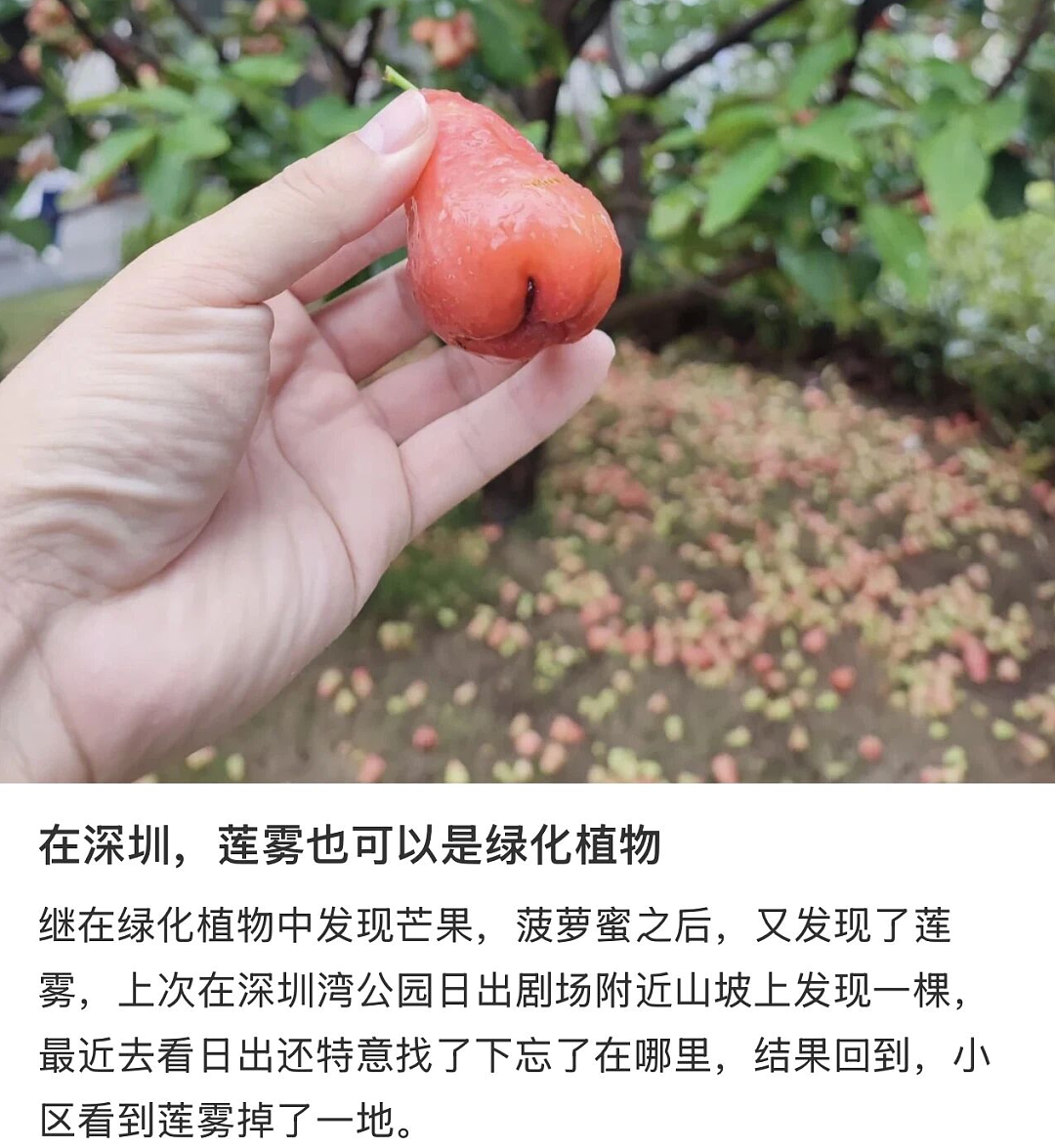 “绿了全世界”的中国,彻底震碎老外三观(组图) - 6