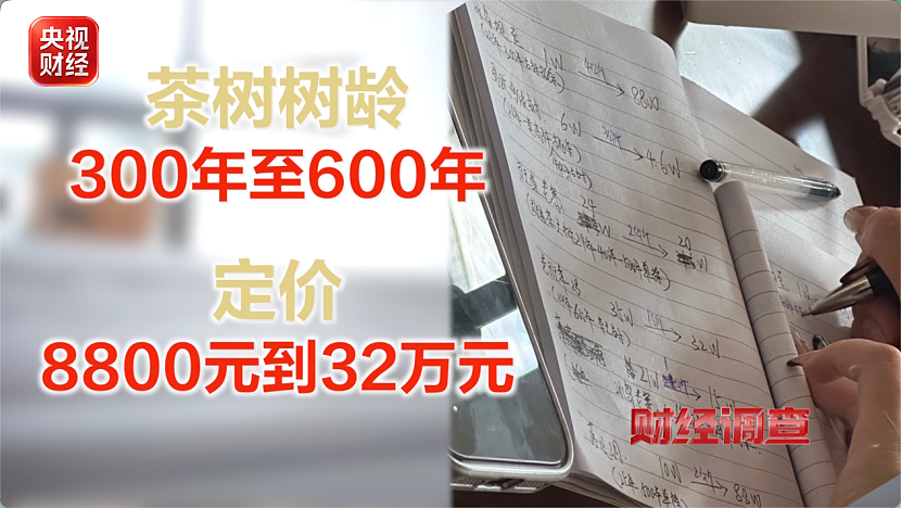 直播间助农卖茶,一年销售额几亿元!27位茶农20位都是演员(组图) - 5
