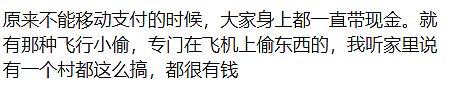 没摄像头没人管!华人飞国外,手机被顺走,有人丢了100万!国际航班成重灾区,机组人员也别信 - 15