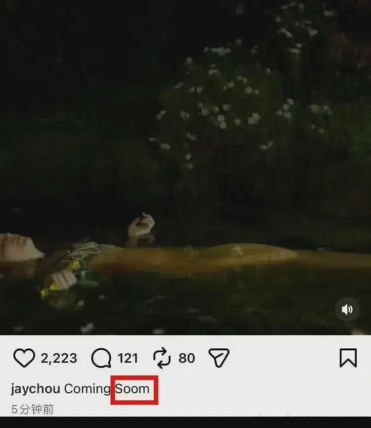 全网哗然！周杰伦新专辑预售遇冷！5天仅卖50万，不敌蔡徐坤零头？（组图） - 4