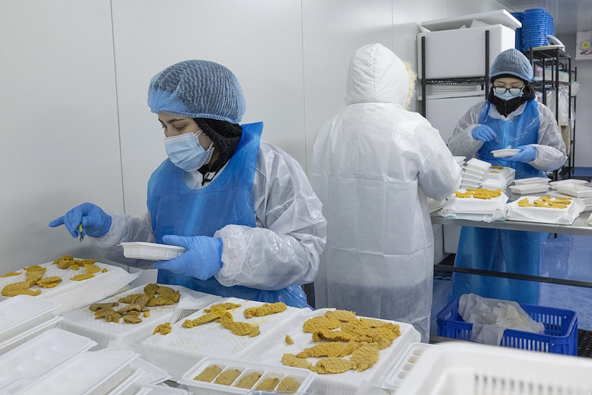中国吃货快来!澳洲几亿只美味海鲜泛滥成灾,专家:再不吃就来不及了! - 9