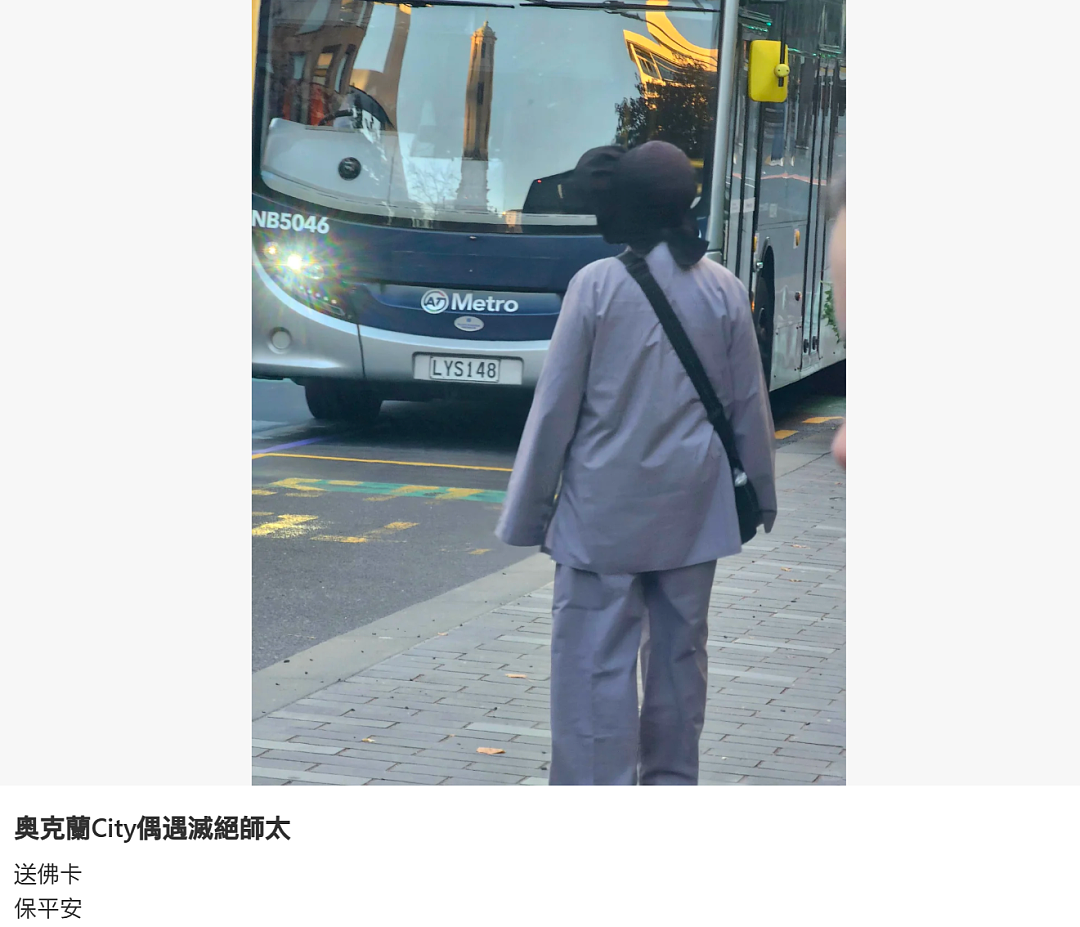 “太丢华人的脸了！”新西兰街头这群人越来越猖狂了（组图） - 8