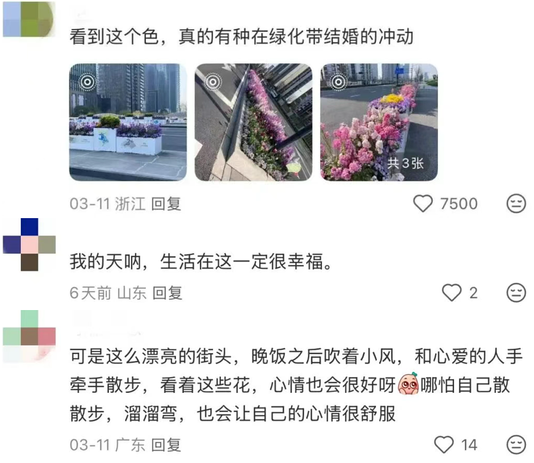 “绿了全世界”的中国,彻底震碎老外三观(组图) - 3