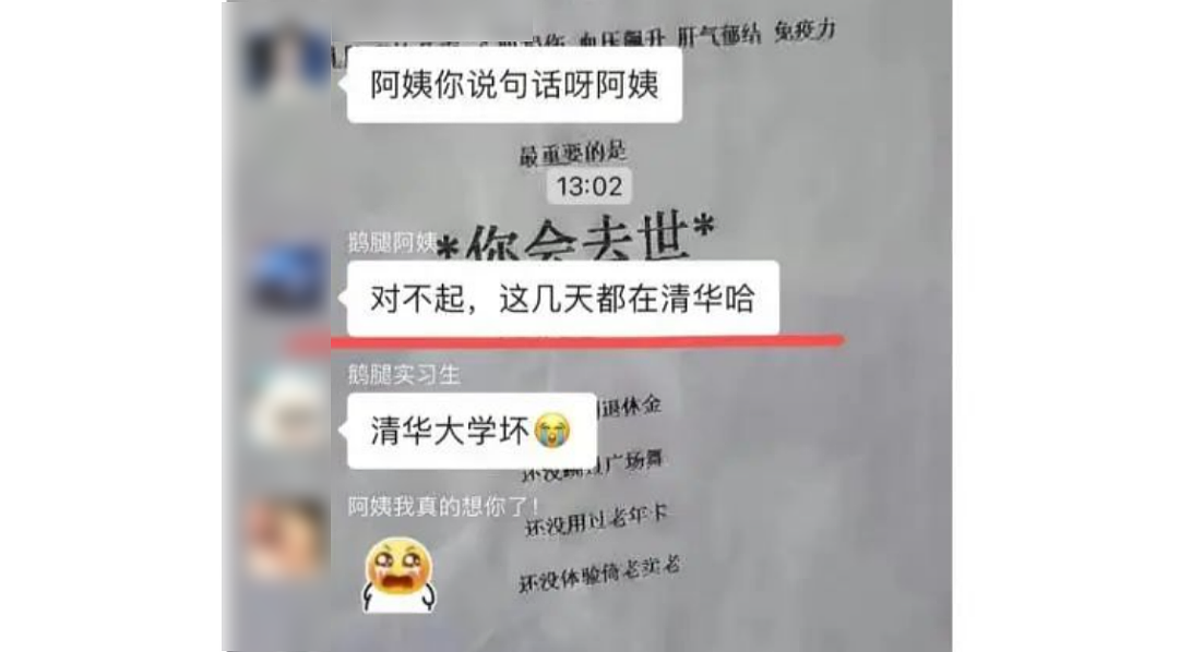 “鹅腿阿姨”就这样玩弄了清北大学生(组图) - 9