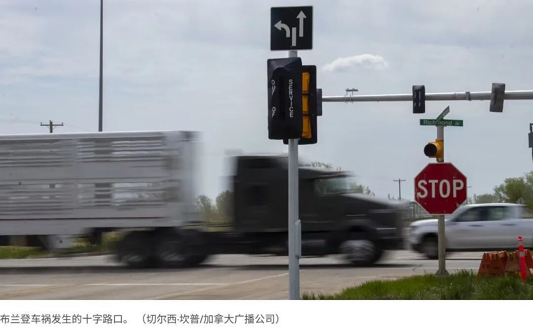 华人母亲遭印度卡车司机闯停牌撞亡！儿子：妈妈再也等不到我回家吃饺子 - 8