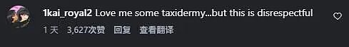 太逆天！澳洲店主将真老鼠缝到内裤上，当时尚单品？？网友：大受震撼（组图） - 15