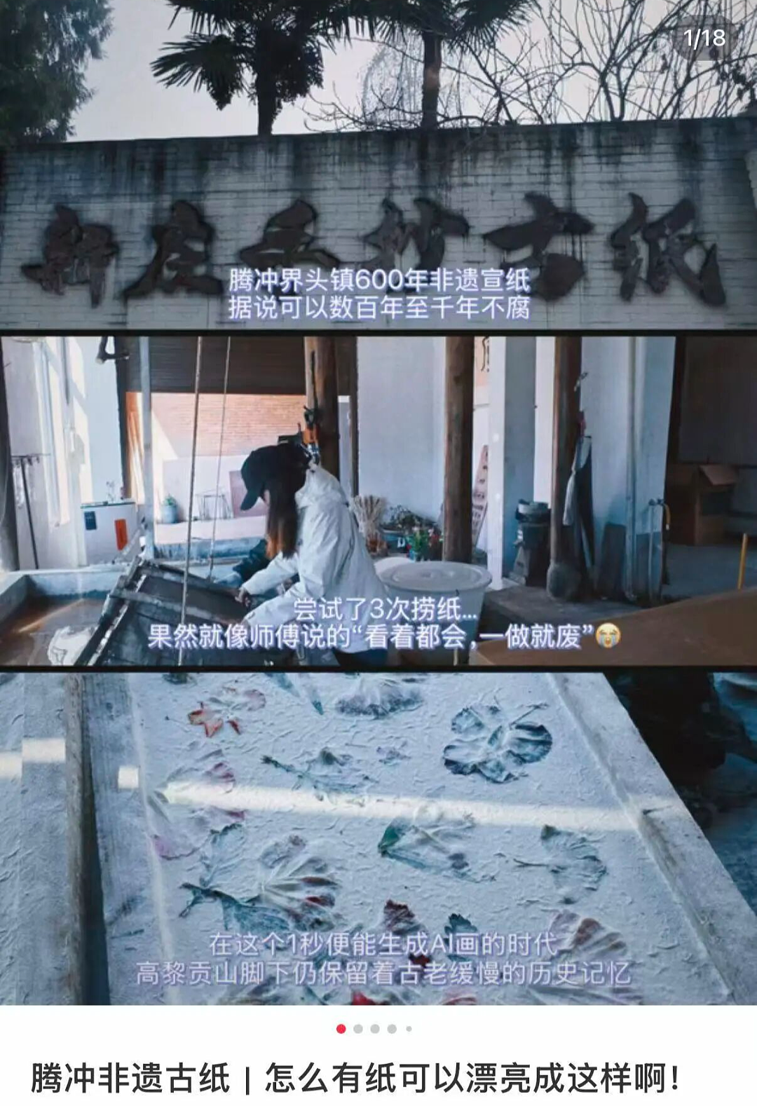 放弃出片的中产，挤爆“旅游兴趣班” - 6