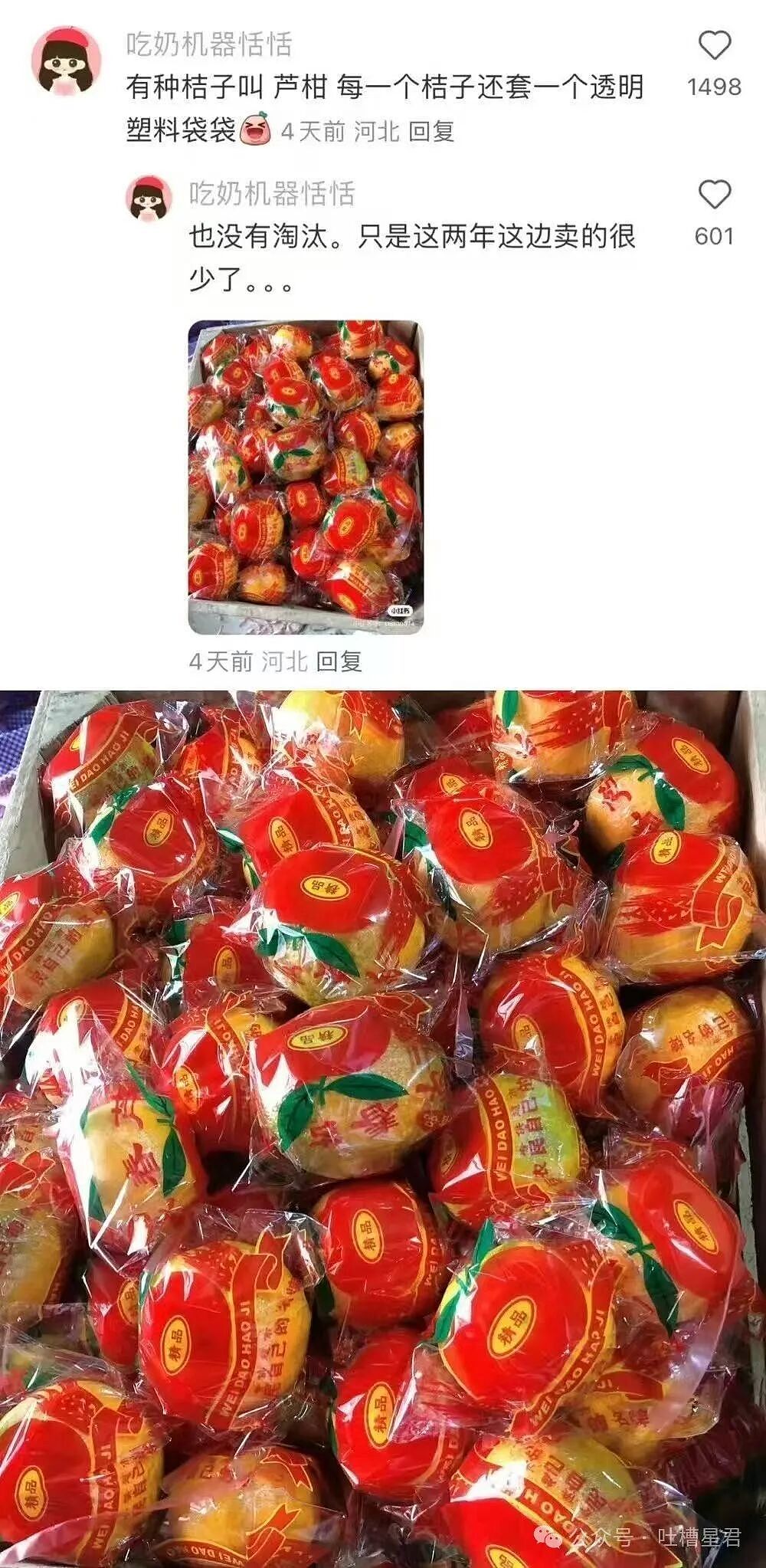 “有哪些以前很火现在被淘汰的水果...?” 这些才是真正的意难平(组图) - 9