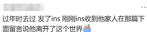 无数华人震惊又难过!那个备受喜爱的澳洲袋熊爷爷,突然去世了! - 8