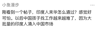 印度人来华抢饭碗?苏州工厂欢迎印度员工引爆争议,大批中国网民抵制(组图) - 7