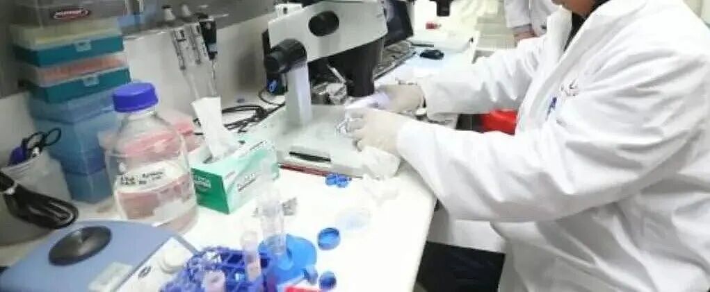 令人头皮发麻！16厘米活虫藏身新西兰幼童体内！长周末天气突变！奥克兰暴雨大风！全国湿冷！预算案出炉！这些家庭看完彻底沉默了！ - 3