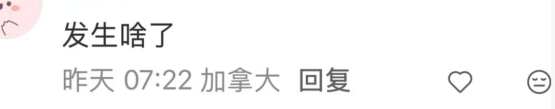 惊魂!回国航班突然掉头,万米高空排油紧急迫降!华人大哭机长崩溃...(组图) - 13
