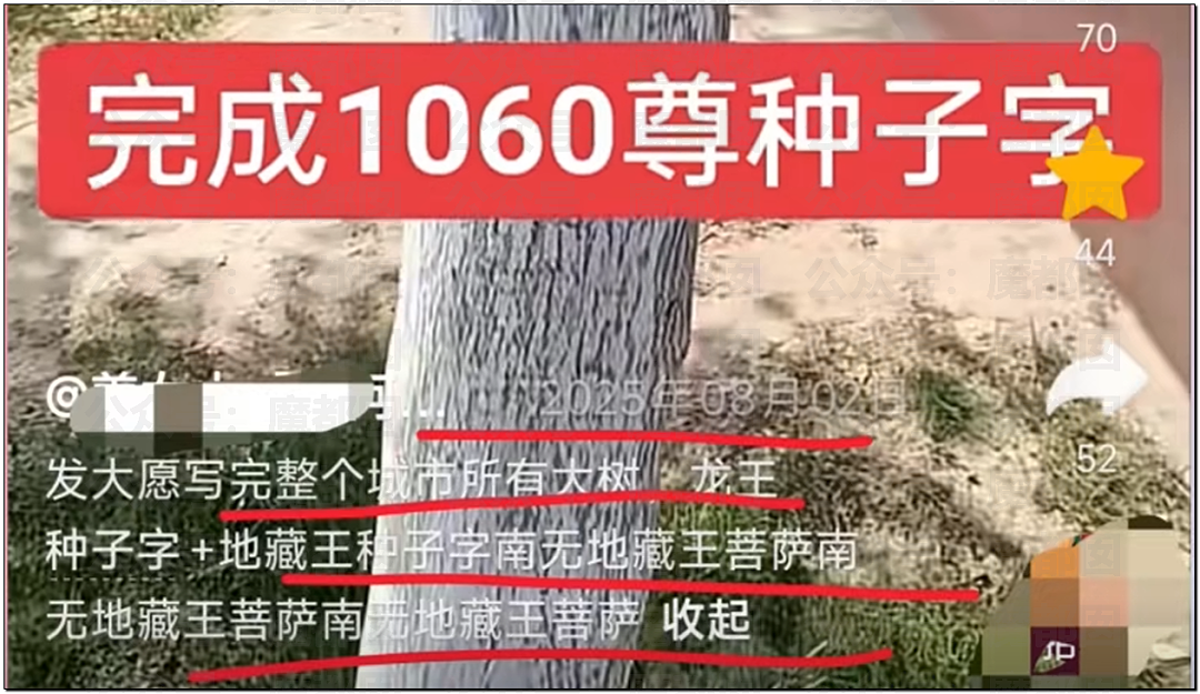 惊悚!全国各地树上忽然集中出现大量诡异奇怪符号!真相是? - 40