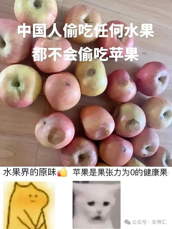在X宝买了件性感连衣裙，把自拍发网上后..？网友笑疯：这是蟒蛇的身份证？ - 42