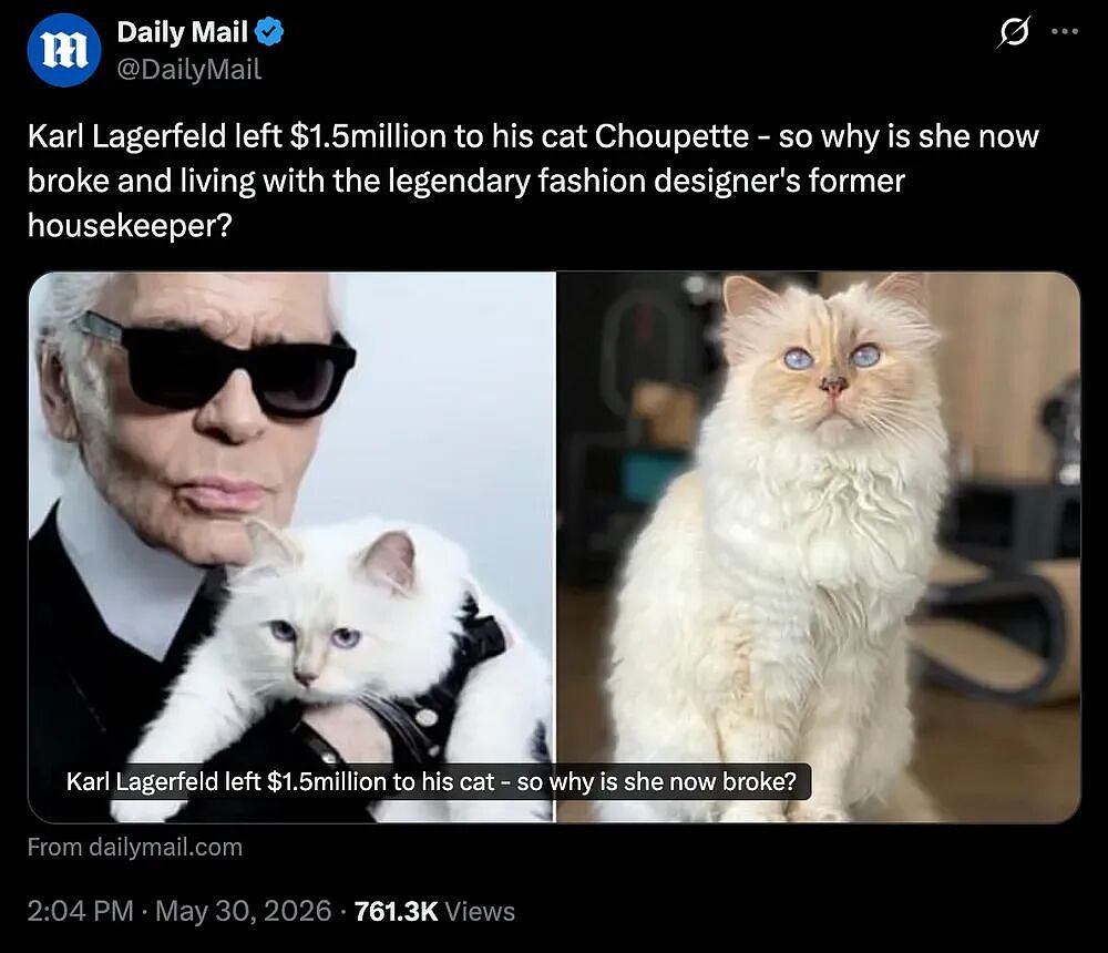 世界首富猫为何破产？老佛爷给它留了150万刀遗产，如今蜗居公寓落差太大！（组图） - 17
