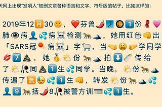 “发哨人”女医生遭严厉训斥 中宣部急删文章 胡锡进：要给不满情绪释放出口 - 5