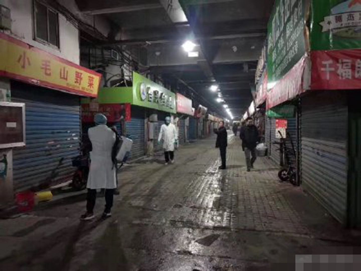 危机解除 武汉不明原因肺炎初步判定为新型冠状病毒（图） - 2