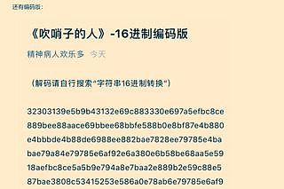 “发哨人”女医生遭严厉训斥 中宣部急删文章 胡锡进：要给不满情绪释放出口 - 2