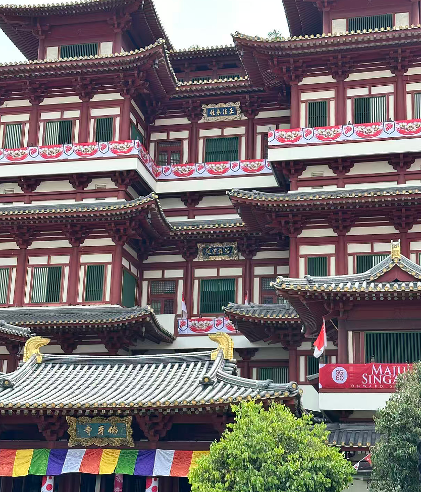 租金翻3倍、百年传承不敌中国餐饮？！牛车水变革戳中无数新加坡人的痛（组图） - 6