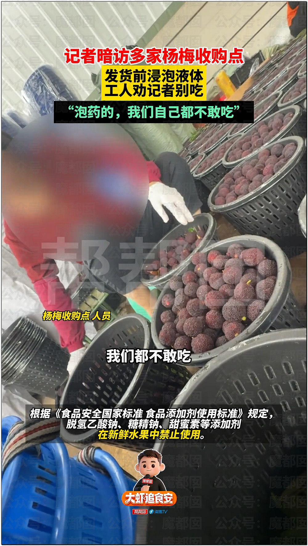 气到发抖！我们吃了那么多年杨梅竟都浸泡防腐剂和化学糖精（组图） - 43