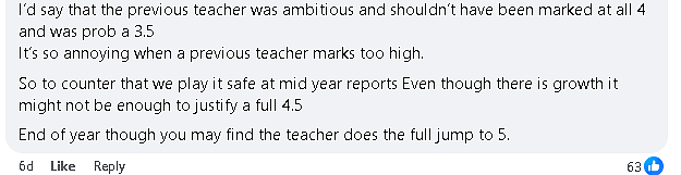 真相曝光！墨尔本妈妈晒出自己娃的学校报告，妈妈群炸锅，多名老师现身 - 5