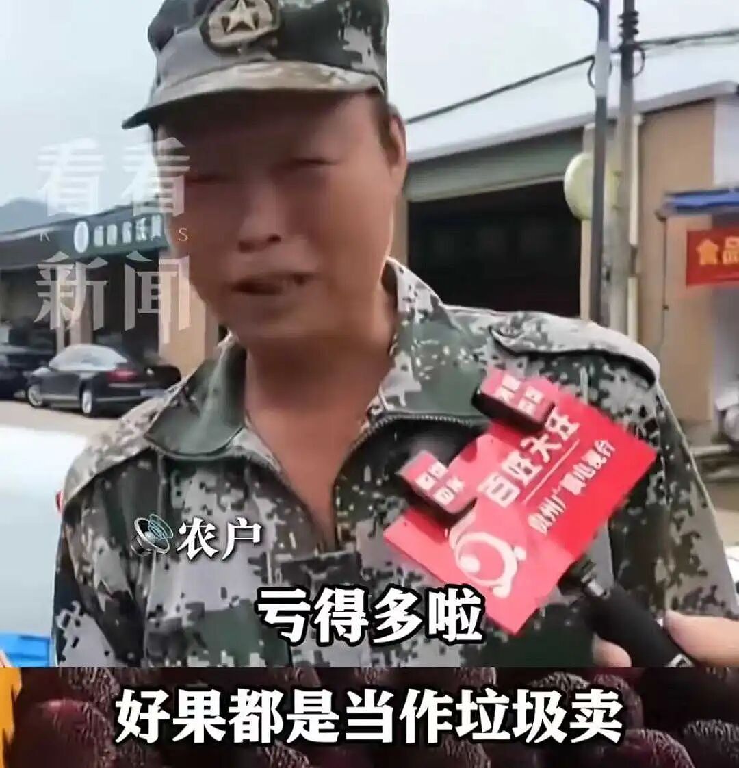 人人喊打的“泡药杨梅”，被自己人坑惨了（组图） - 2