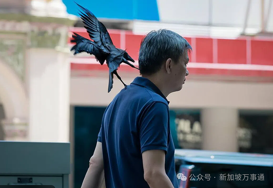 新加坡“黑帮”惨遭围剿!全岛9区紧急射杀,1天击毙16名成员(组图) - 24