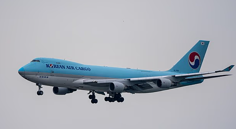 万米高空突发意外!女子飞韩国途中不幸离世:戴上氧气面罩,却没有氧气(组图) - 2