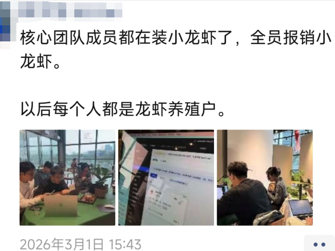 全民“养虾”调查:大厂7.9元“包吃住”,为何有人1天花费超2000元?(组图) - 5