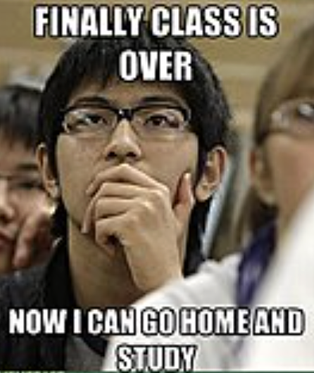 为什么ABC不爱和留学生玩? - 9