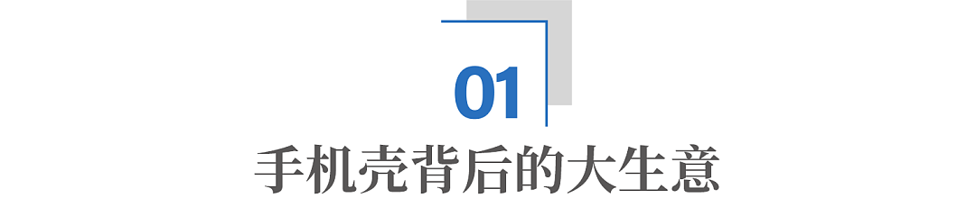 中东土豪爱上中国手机壳:百元高价仍卖断货(组图) - 4