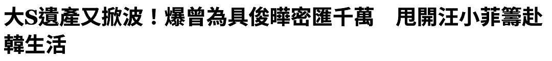 大S生前秘密转移千万资产至韩国，赴韩定居计划因离世落空 - 3