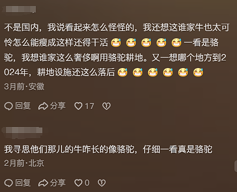 为了教老外种地,中国人操碎了心 - 7