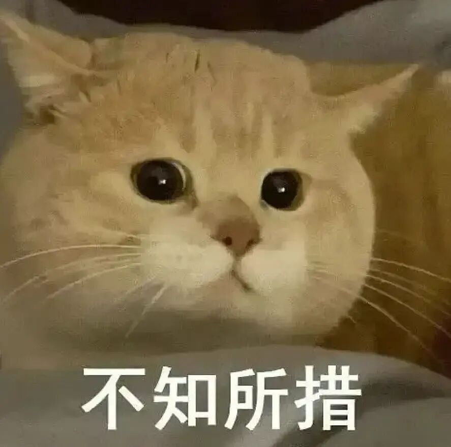 日本10岁小学生辣妹公开择偶标准:年薪1500万,帅过赤西仁?!妹妹是真敢想啊…(组图) - 2