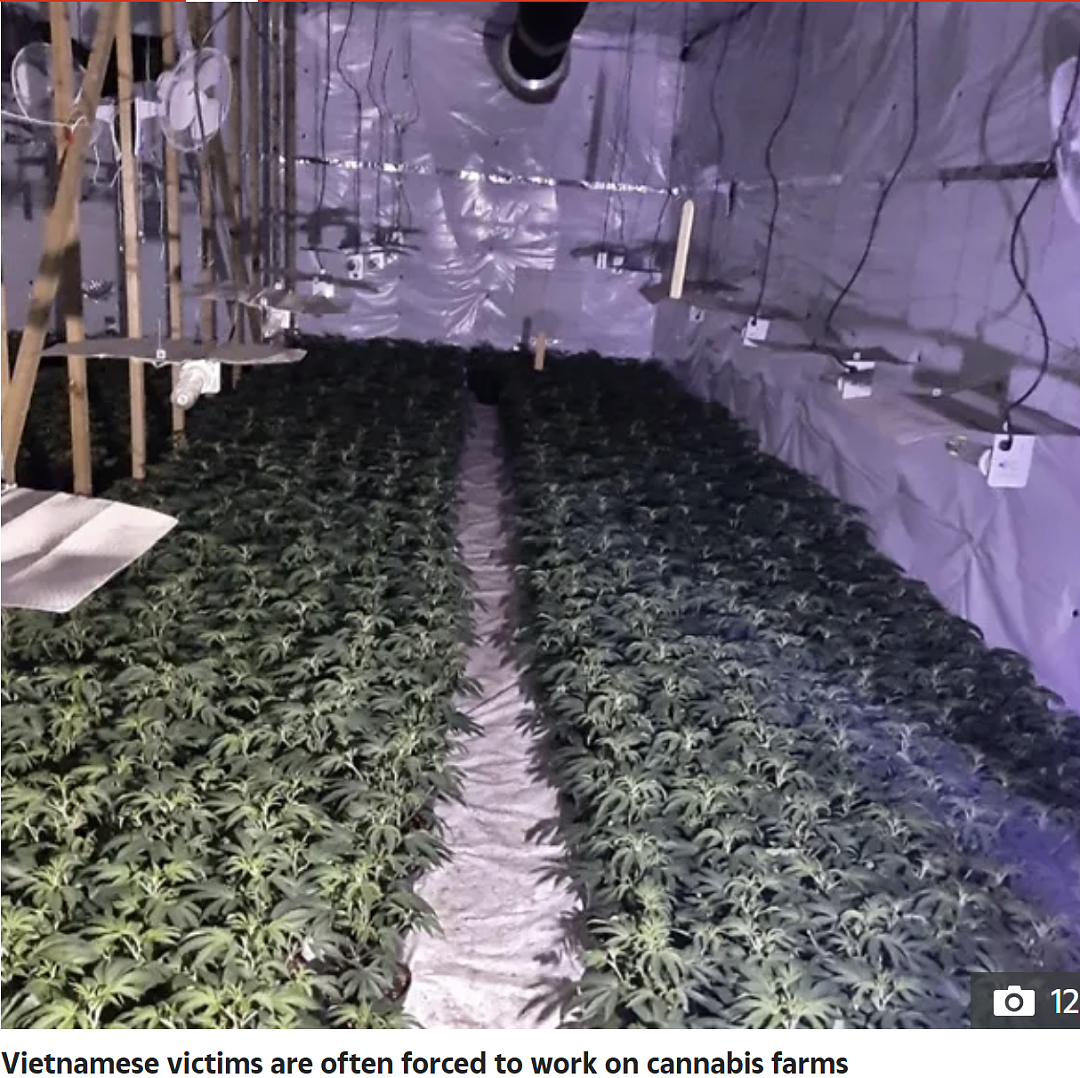 想出国赚钱，却背上13万美元债务！有人出了国，才发现时薪只有6美元（组图） - 10