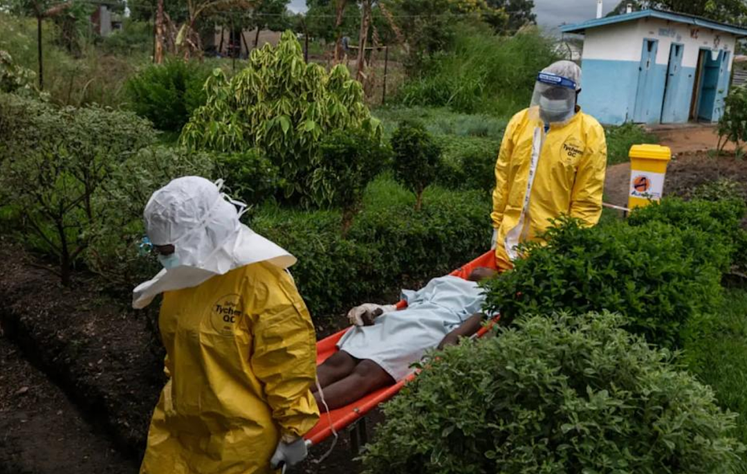 已致204死！世界杯或引爆加拿大疫情？新型病毒外溢10国，死亡率最高90%！专家警告（组图） - 8