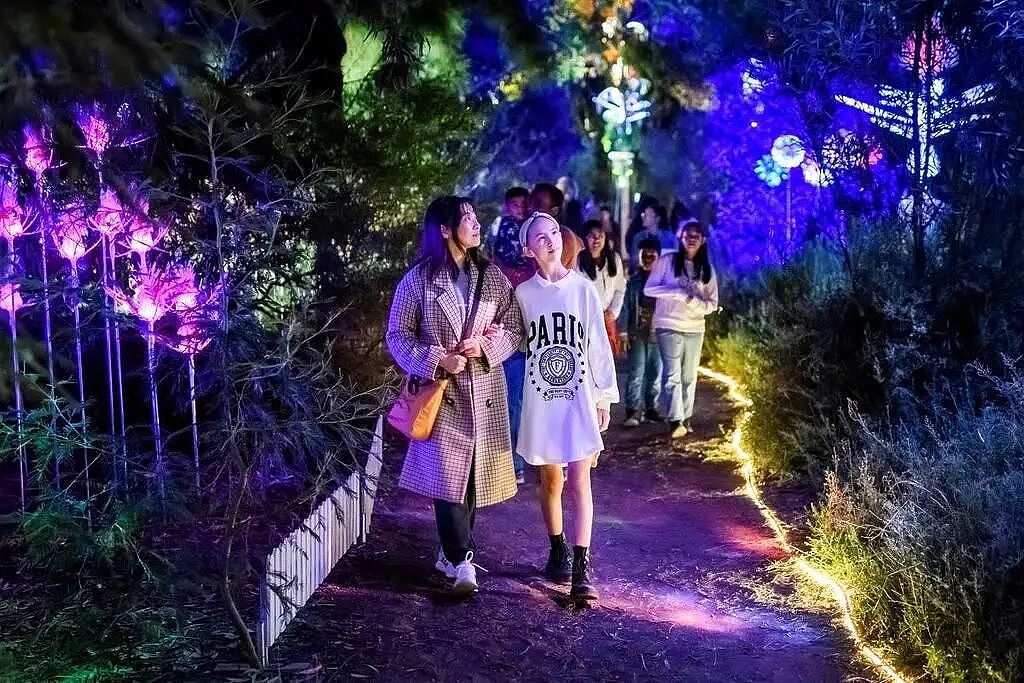墨尔本4月活动太精彩，恐龙展、亚洲美食夜市、法国电影、光影展、花海...（组图） - 15