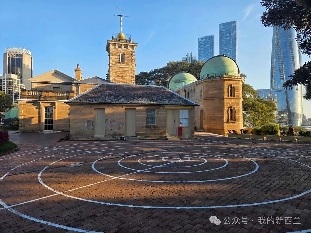 新西兰华人孩子走“捷径”，提前2年拿到澳洲护照，“一个月就批了” - 5