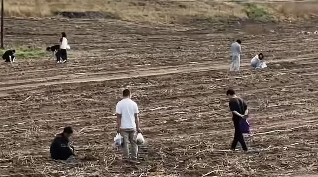 人傻钱多的“城巴佬”，快把农村人整懵了 - 12
