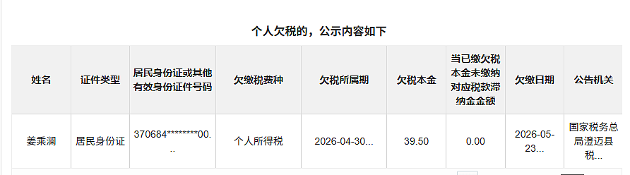 中国网红欠税39.5元被公告 - 1