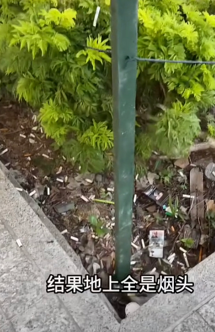 “新加坡法律就是个摆设!”中国网红实拍吐槽引热议:路边都是烟头、很多人都在闯红灯...(组图) - 3
