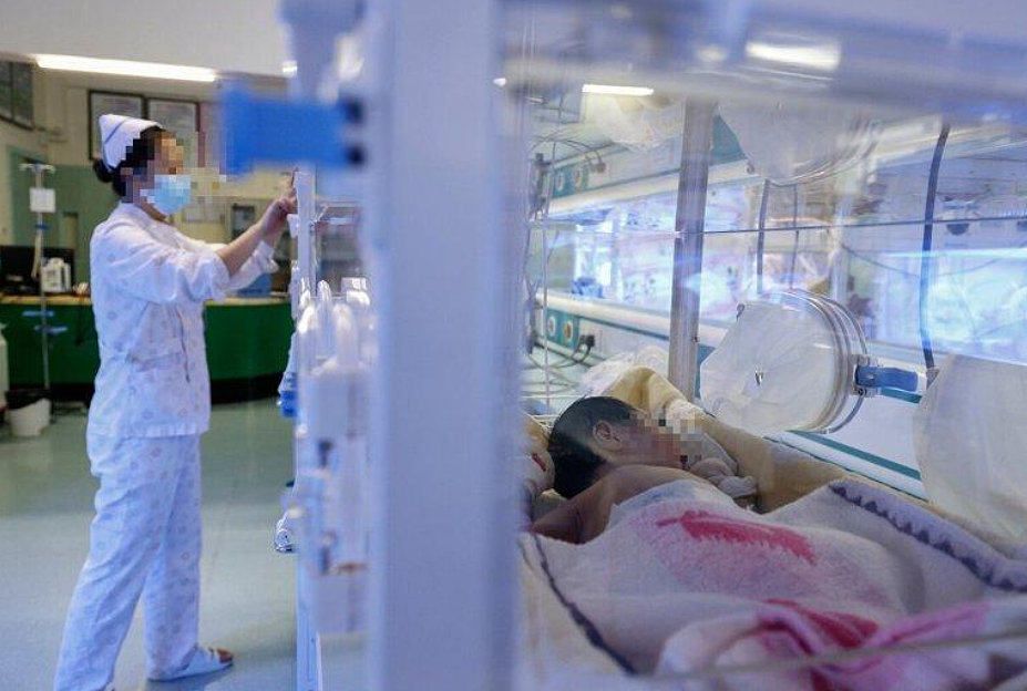 新操作！北美华人妈妈流行“反向回国生娃”，只为给孩子上中国户口（组图） - 1