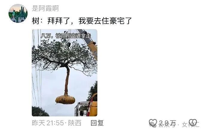 在X宝买了件性感连衣裙，把自拍发网上后..？网友笑疯：这是蟒蛇的身份证？ - 50